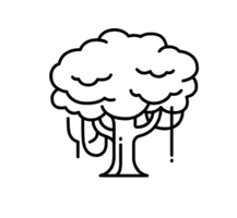 The Greener Earth Project